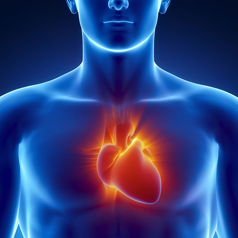 Как отличить остеохондроз от сердечной боли